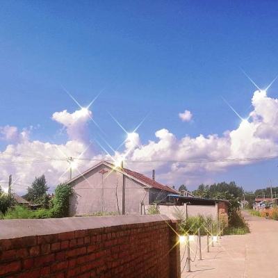 风云体育官方APP网址